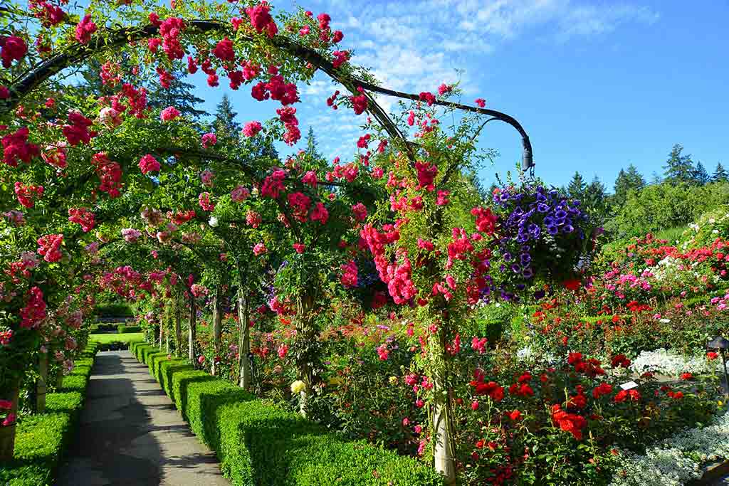 Image of the Butchart Gardens