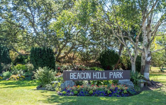 Photo of the Beacon Hill Park