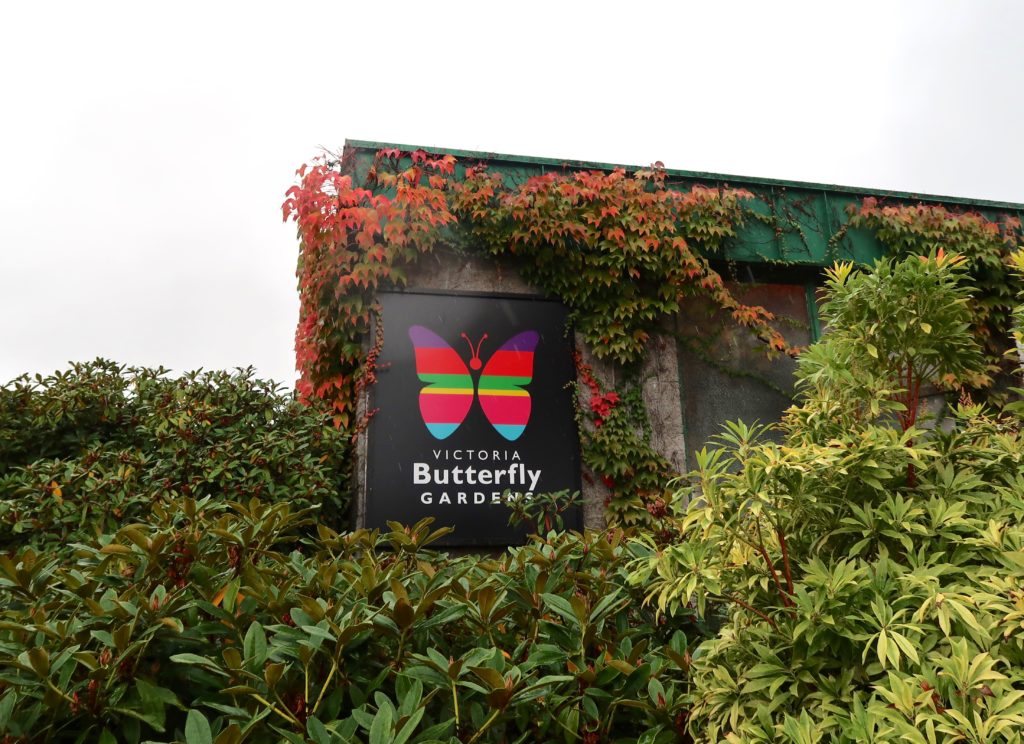 Image of Victoria Butterfly Gardens