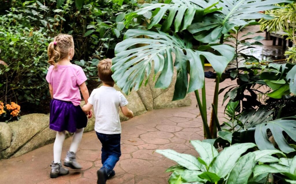 Victoria Butterfly Gardens